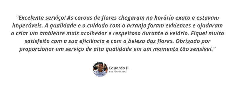 Inserir um subtítulo (3)